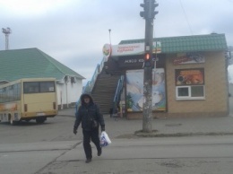Не дружат пешеходы Бердянска с правилами дорожного движения