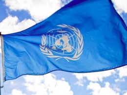ООН запросила у доноров рекордную сумму на гуманитарную помощь