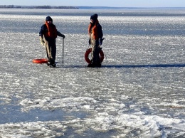 Одесские спасатели освободили из ледяного плена четырех лебедей