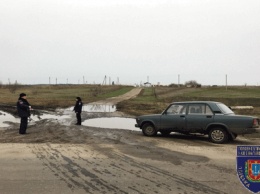 В Одесской области новая вспышка африканской чумы свиней: полиция выставила блокпосты