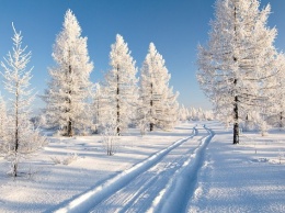 Гидрометцентр: В Челябинской области сильно похолодает