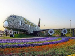 Цветочный Airbus A380 попал в Книгу рекордов Гиннеса (фото, видео)