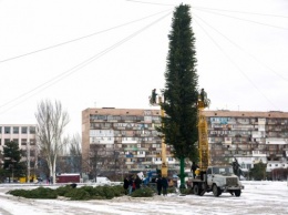 Запорожцы раскритиковали главную "елку-палку"