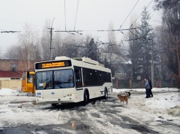 В 2017-м в Днепре возродят троллейбусы на Парус и Сокол