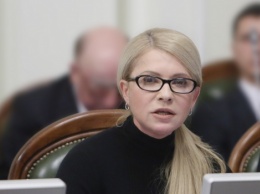 Нусс: голосование по Новинскому показало всю гнилую суть Тимошенко