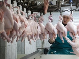 Эксперты оценили убытки от бойкота украинской курятины