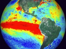 Кораллы помогли узнать ученым об изменениях Эль-Ниньо