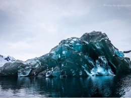 В Антарктиде запечатлели очень редкое зрелище (ФОТО)