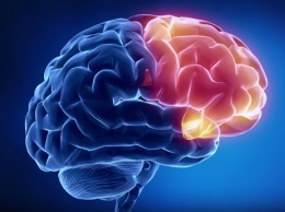 При решении нескольких задач происходит «раскол мозга» - Ученые