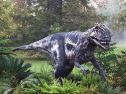 Ученые заподозрили динозавров в возможности летать