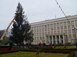 Главную новогоднюю елку Закарпатской области установили в Ужгороде