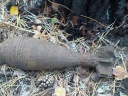 На Днепропетровщине мужчина обнаружил в лесополосе боеприпас