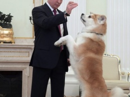 Путин показал журналистам из Японии свою собаку Юмэ