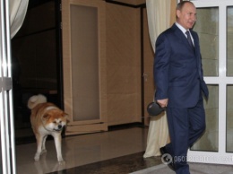 Российский народ и собака Путина: соцсеть взорвала злободневная шутка