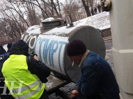 Активисты привели под Кабмин свиней