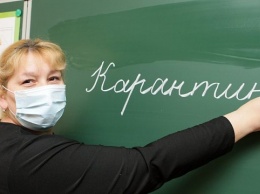 Из-за гриппа все школы Житомира закрыли на карантин