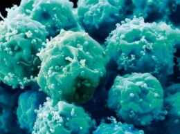 Ученые сообщили об опасности использования стволовых клеток для лечения