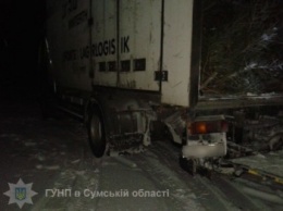 На Сумщине задержали грузовик с елками (ФОТО)