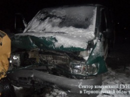 В результате столкновения микроавтобусов в Тернопольской области пострадали пять человек