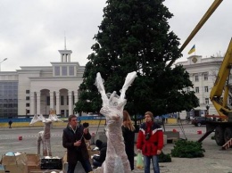 Подробности о "наряде" главной елки Херсонщины