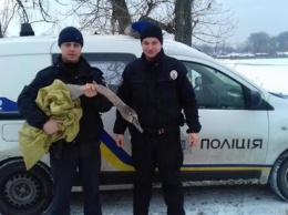 В Киевской обл. патрульные спасли вмерзшего в лед лебедя
