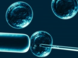Ученым удалось предотвратить старение стволовых клеток