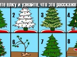 Выберите елочку и узнайте, что она расскажет о вашей личности!