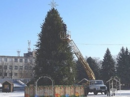 Главная елка Павлограда почти готова к праздничному открытию