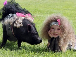 Гламурная свинья выиграла конкурс красоты для овец