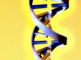 Ученые: Одна бессонная ночь может навсегда изменить гены тканей человека