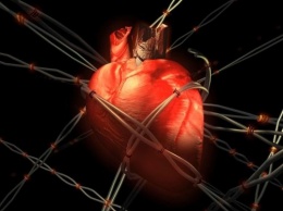 Ученые создали позволяющие контролировать работу сердца клетки