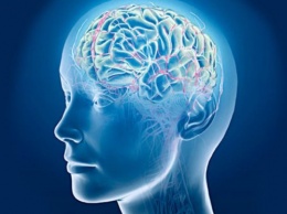 Ученые изучили процесс старения мозга