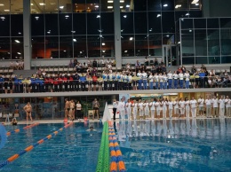 Запорожские прыгуны в воду продолжили успешное выступление на чемпионате Украины