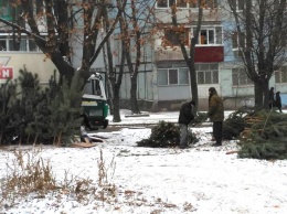 Днепр заполонили незаконные торговцы елками, куда смотрит патрульная?