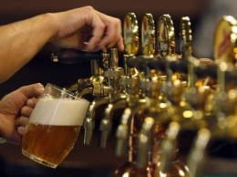 Чешские ученые говорят о вреде пива для внутренних органов