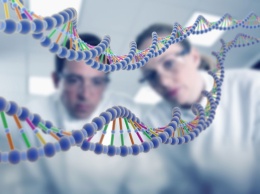 В Великобритании разрешили делать оплодотворение с ДНК от трех родителей