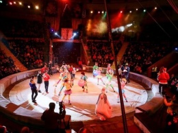 Запорожский цирк собрал тысячи малоимущих детей