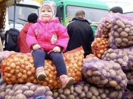 Накануне новогодних праздников в Крым из Украины массово везут продукты