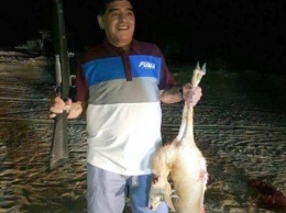 Защитники животных раскритиковали Марадону за убийство редкого вида антилопы