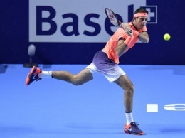 Теннисист дель Потро опередил Месси в голосовании за лучшего спортсмена Аргентины