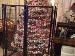 Как защитить рождественскую елку от домашних любимцев