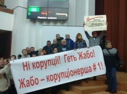 Противники начальницы Полтавской областной МСЭ устроили акцию протеста в областном совете (Фото)