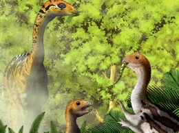 Палеонтологи обнаружили "молочные зубы" у динозавров