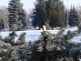 В Запорожской области в парке украли елку и гирлянды (Фото)