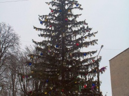 На Полтавщине новогодняя елка установит рекорд Украины