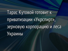 Тарас Кутовой готовит к приватизации «Укрспирт», зерновую корпорацию и леса Украины