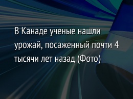 В Канаде ученые нашли урожай, посаженный почти 4 тысячи лет назад (Фото)