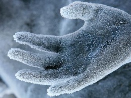 Немецкий ученый хочет себя заморозить, чтобы ожить после смерти