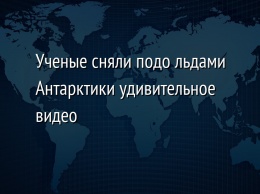 Ученые сняли подо льдами Антарктики удивительное видео