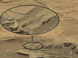 NASA удивило землян снимком ложки с Марса